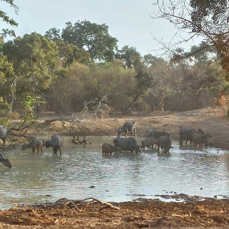 Suduweli Beauties Of Nature - Yala Kirinda  Buitenkant foto