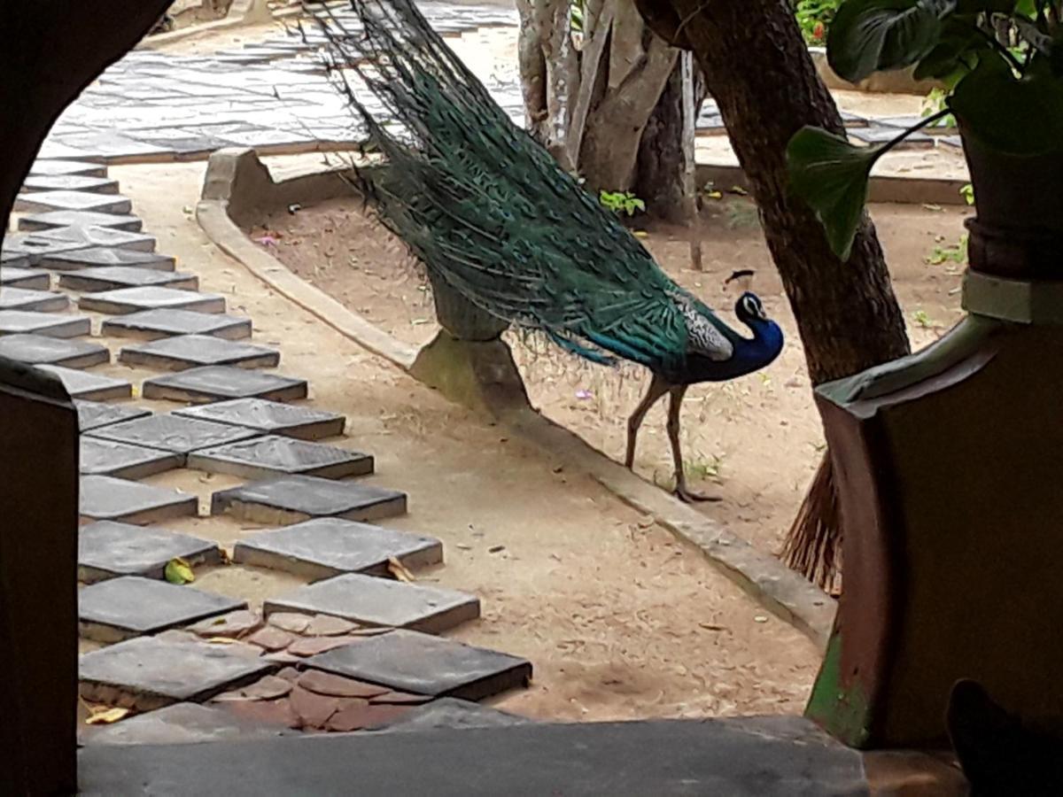 Suduweli Beauties Of Nature - Yala Kirinda  Buitenkant foto