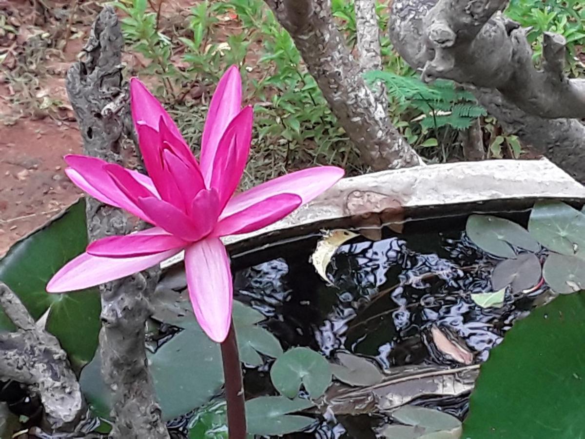 Suduweli Beauties Of Nature - Yala Kirinda  Buitenkant foto