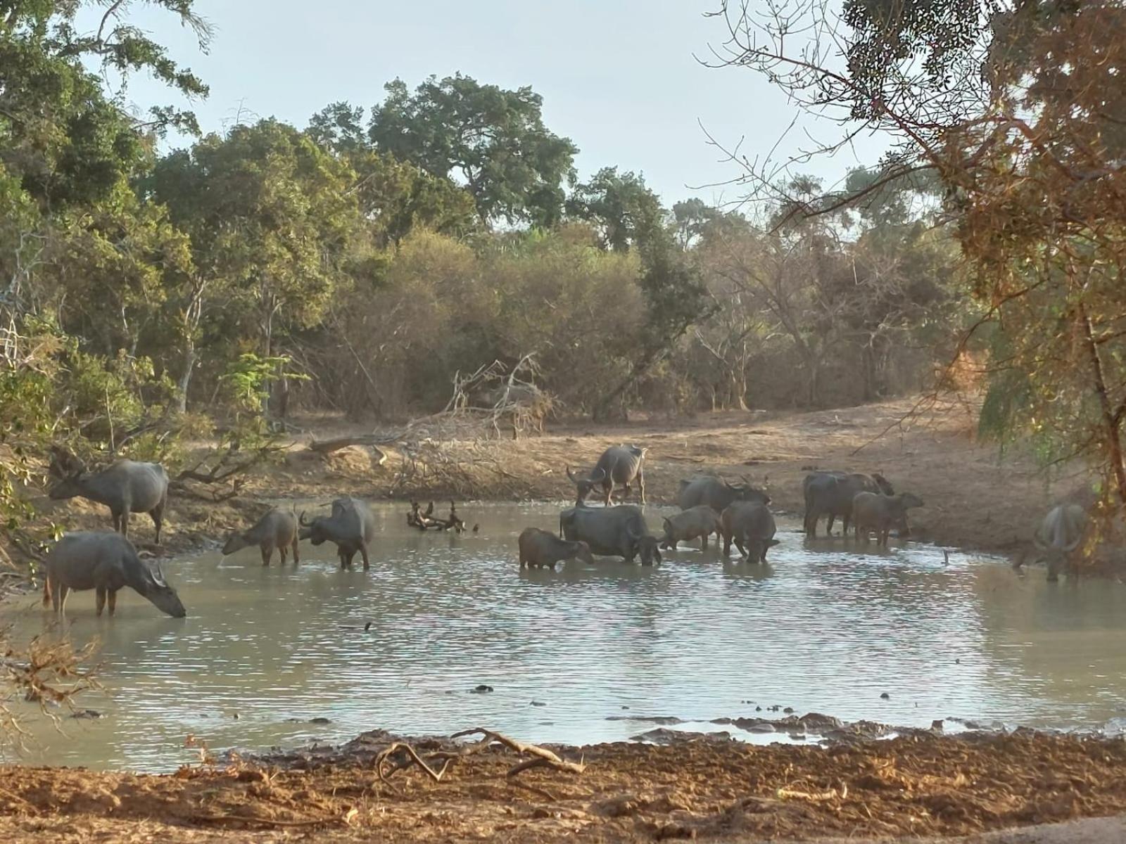 Suduweli Beauties Of Nature - Yala Kirinda  Buitenkant foto