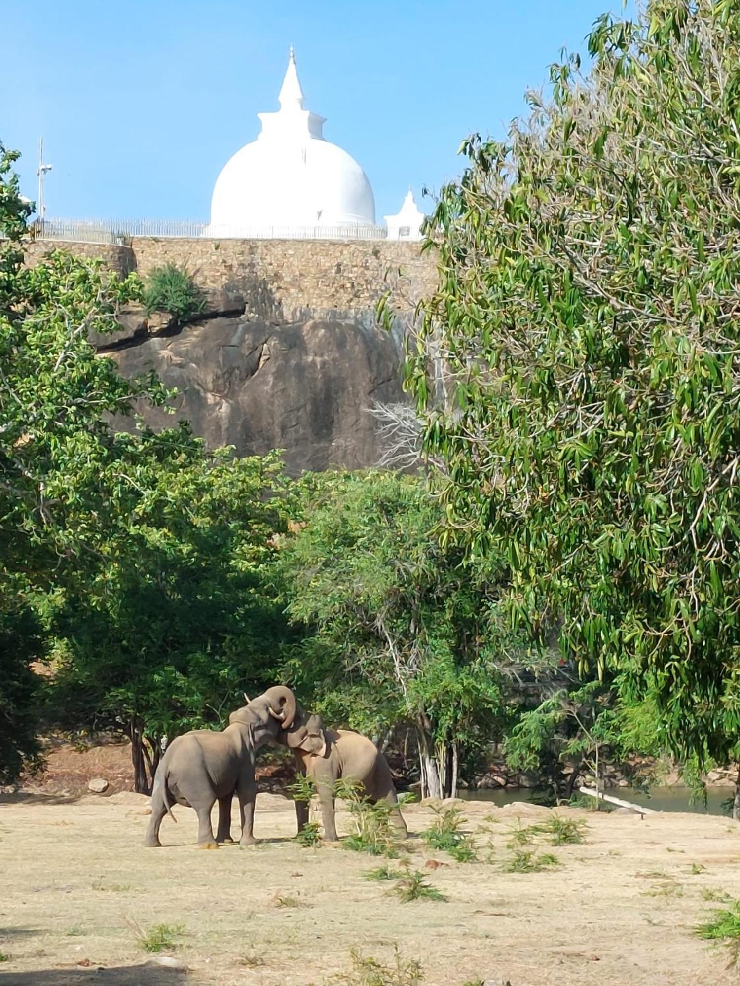 Suduweli Beauties Of Nature - Yala Kirinda  Buitenkant foto