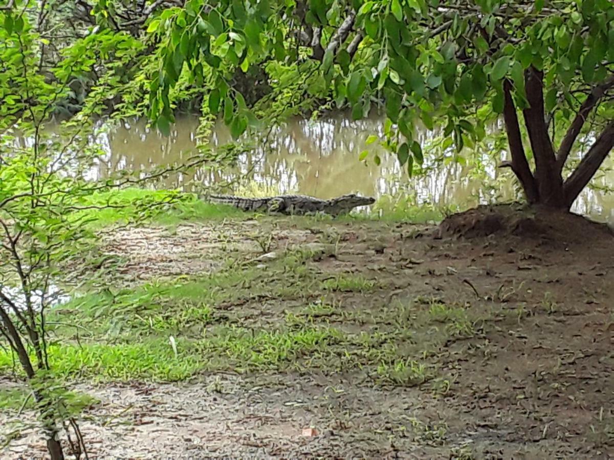 Suduweli Beauties Of Nature - Yala Kirinda  Buitenkant foto