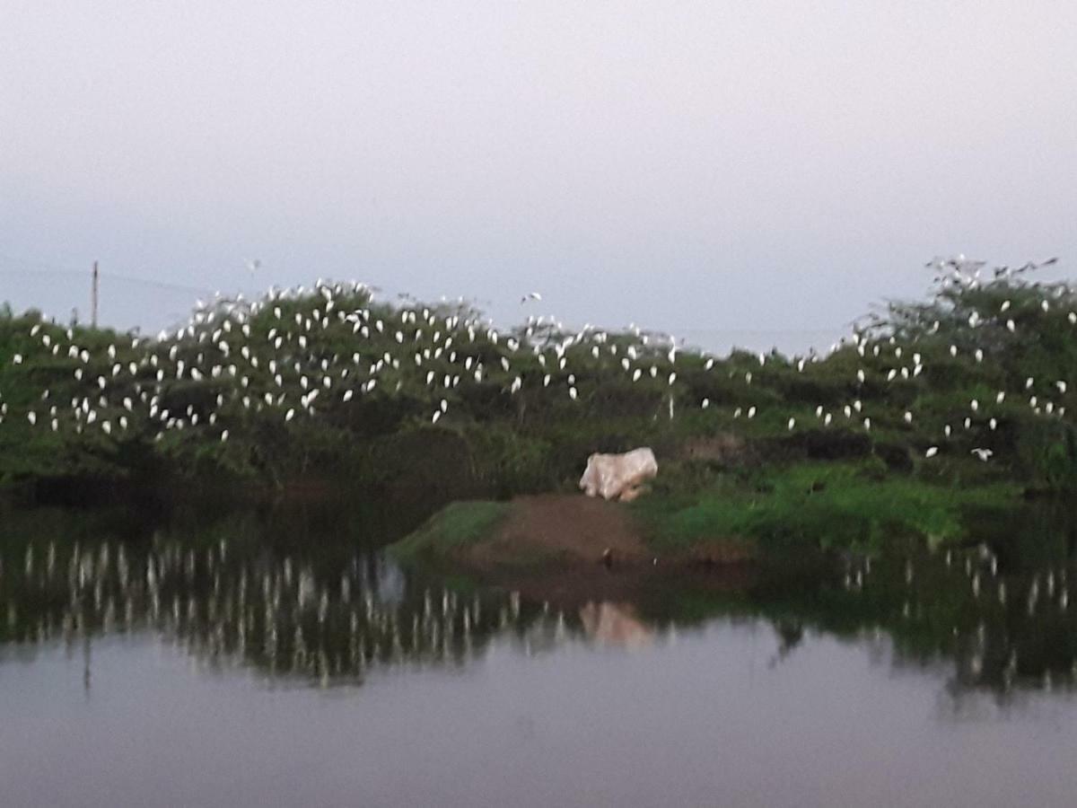 Suduweli Beauties Of Nature - Yala Kirinda  Buitenkant foto