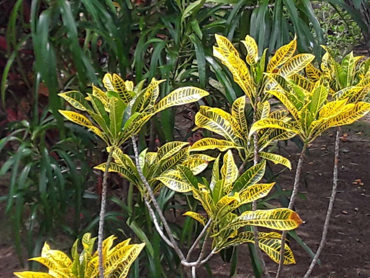 Suduweli Beauties Of Nature - Yala Kirinda  Buitenkant foto